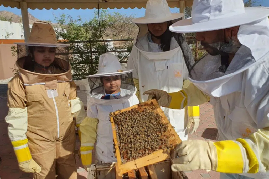 Hatta Honey Bee Discovery Centre